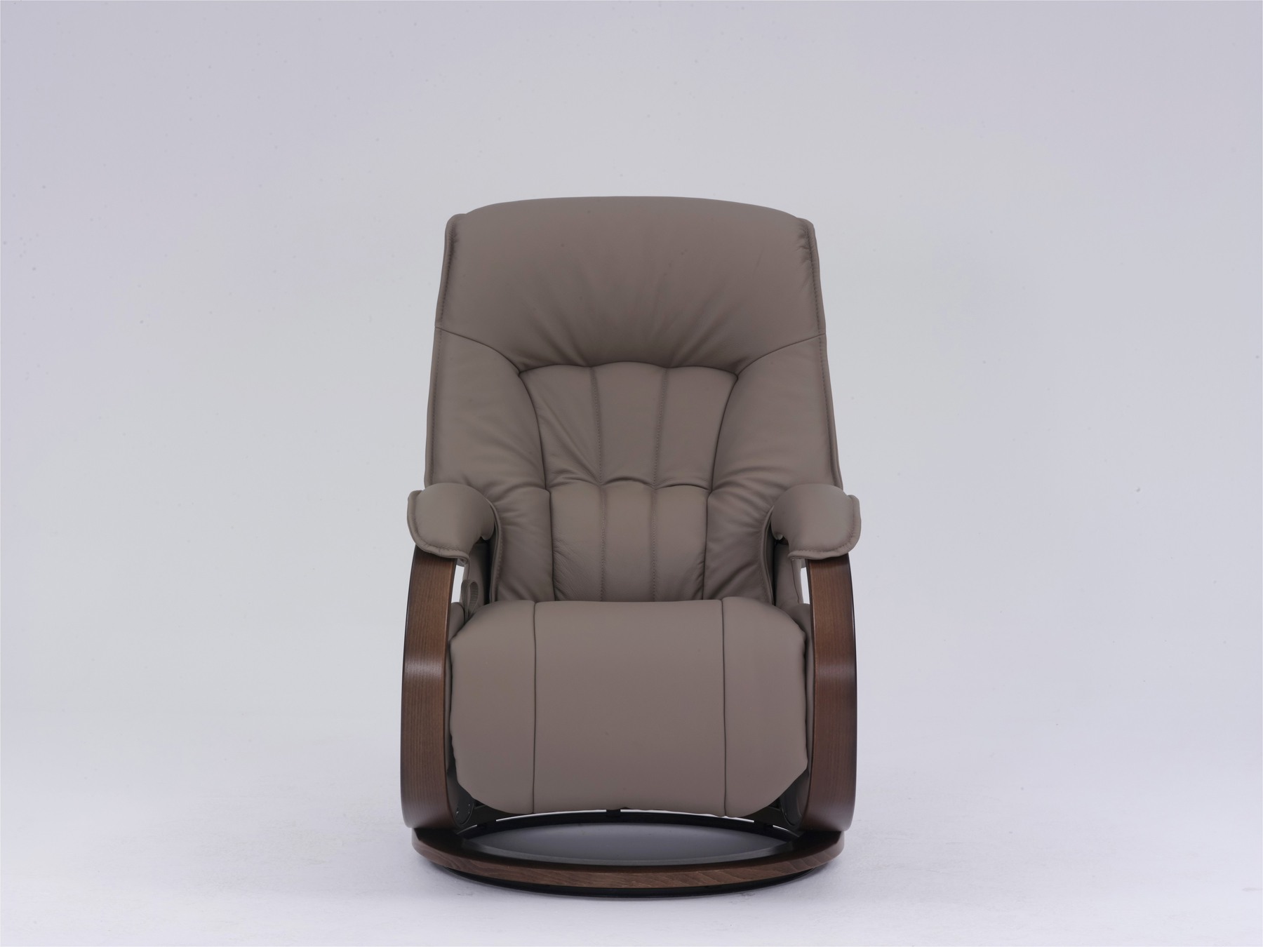 HIMOLLA MOSEL LEATHER CHAIR FRONT VIEW