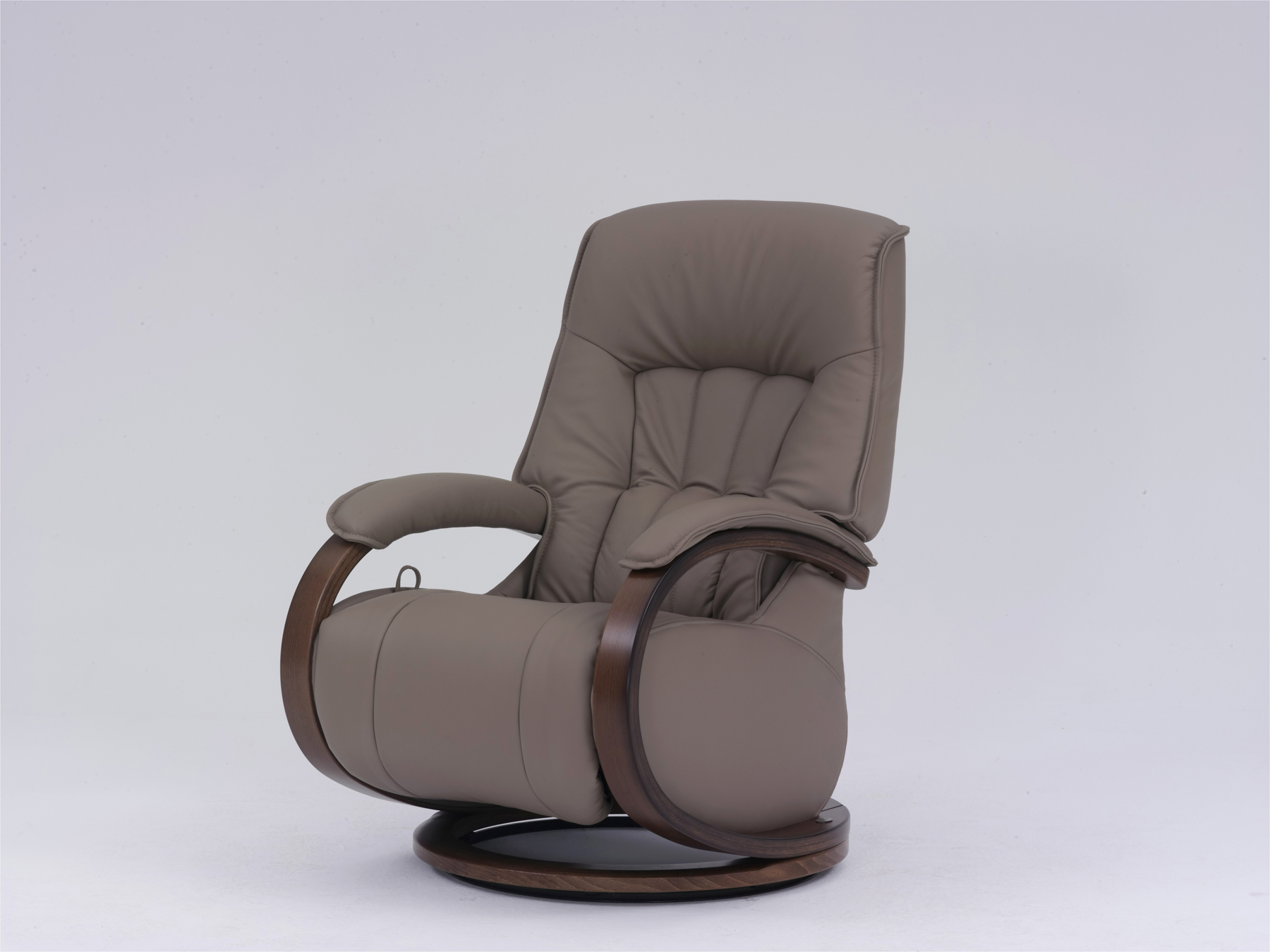 HIMOLLA MOSEL LEATHER CHAIR SIDE VIEW